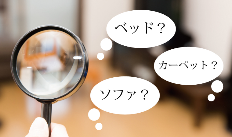 ダニが多い場所はどこ？アイキャッチ画像