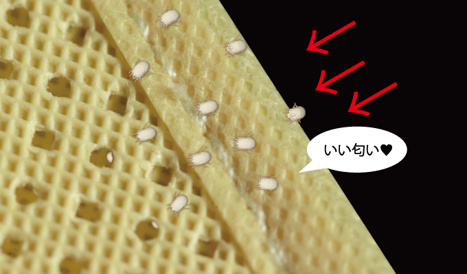 ダニをおびき寄せる（誘引）タイプ