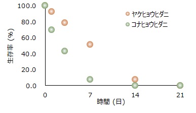 ダニの高温抵抗性を検証図1