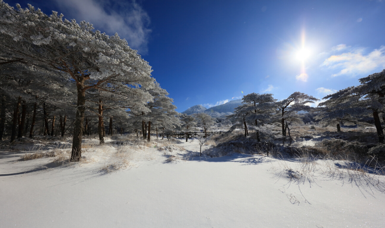 チリダニの越冬についてアイキャッチ画像