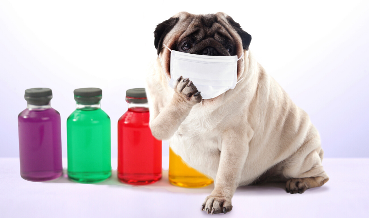 通年性のアレルギー鼻炎について02