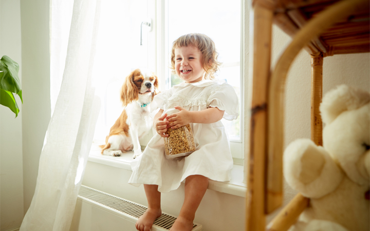 犬とアレルギー003