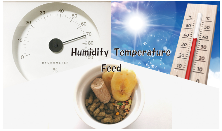 ダニの繁殖に関わる温度・湿度・エサ
