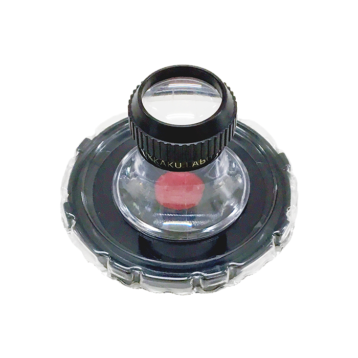 ダニ目視キット（ルーペあり）