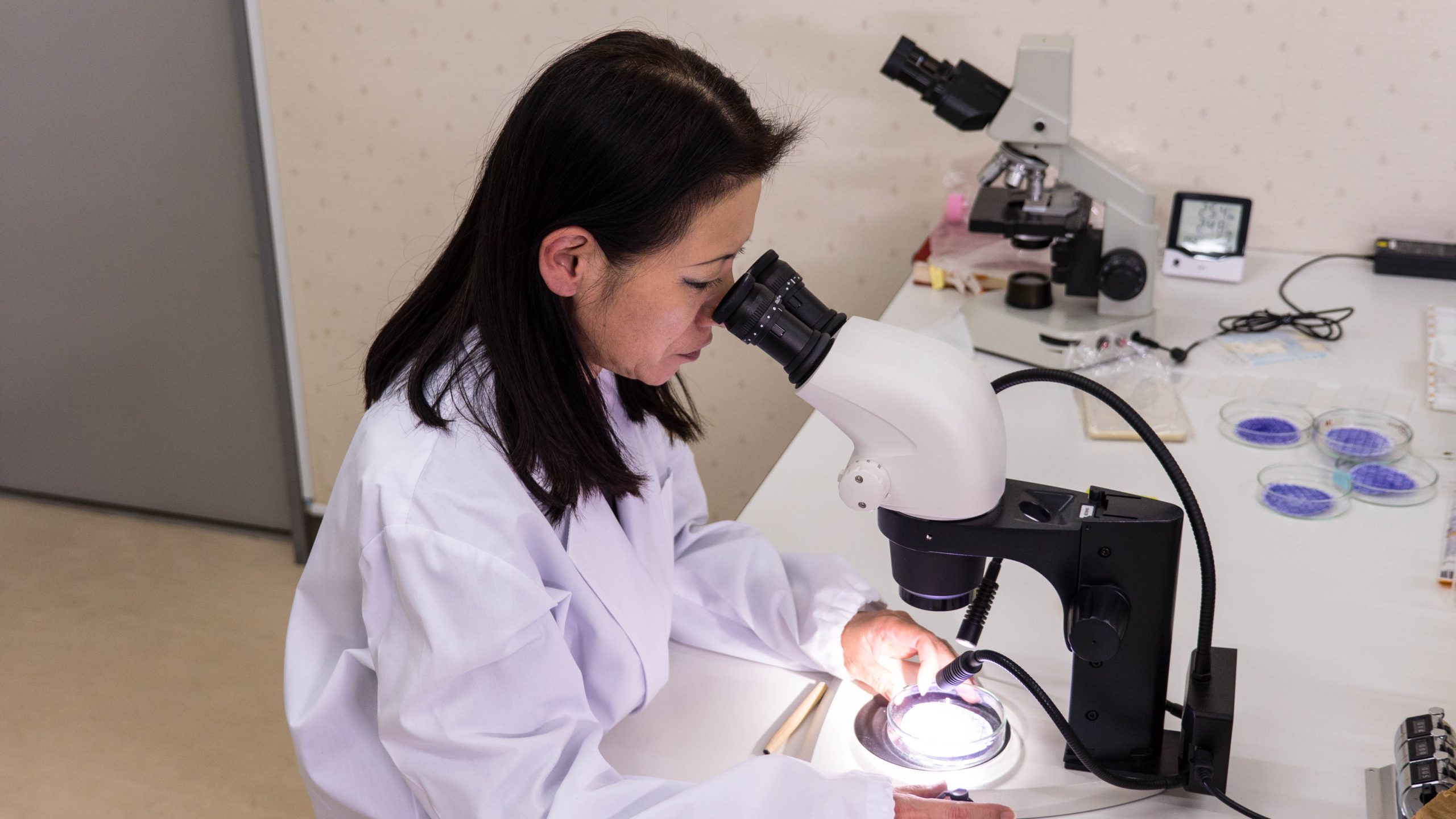 日革研究所では研究、調査、開発を全て自社で完結