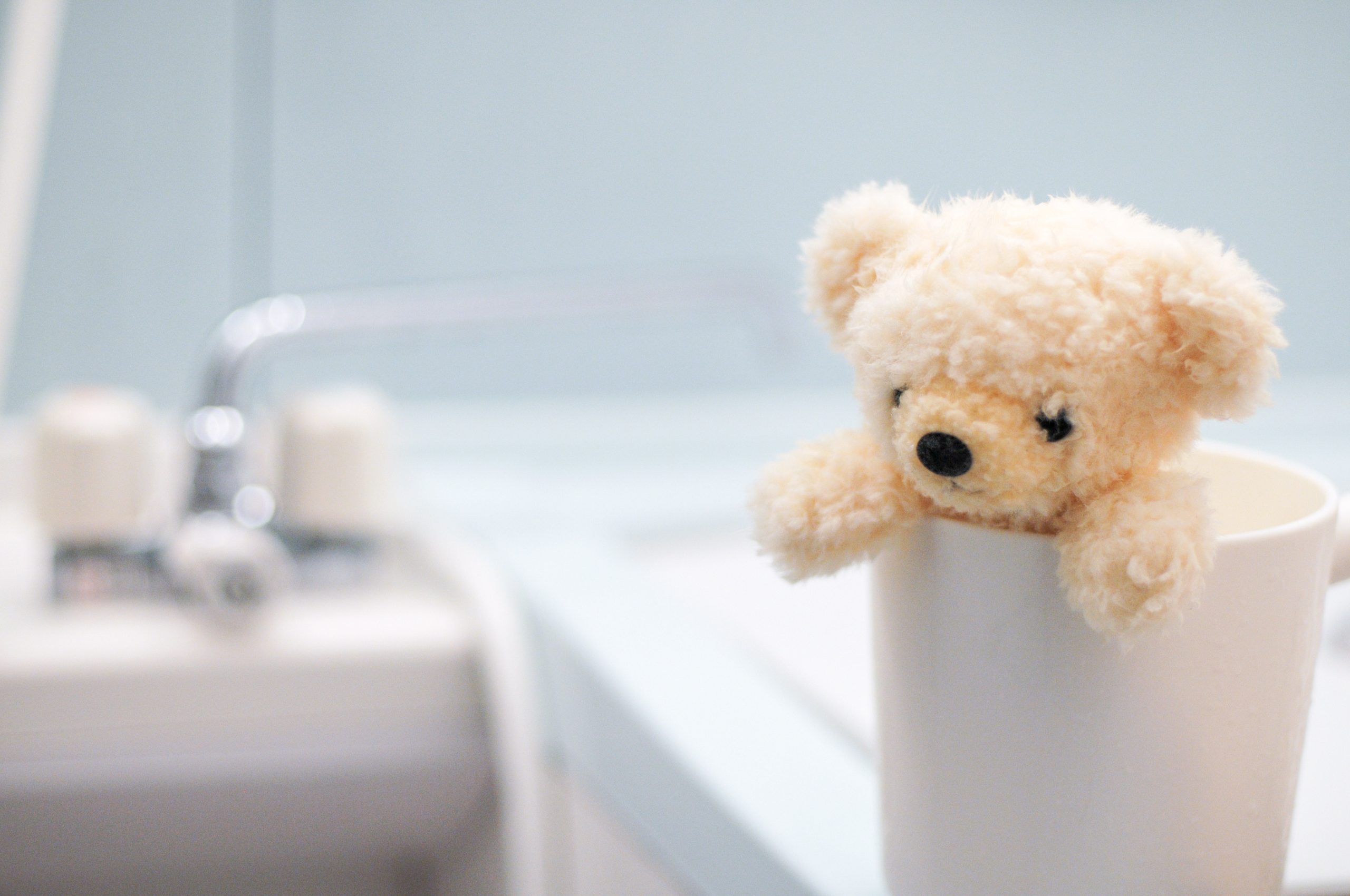 熊のぬいぐるみ