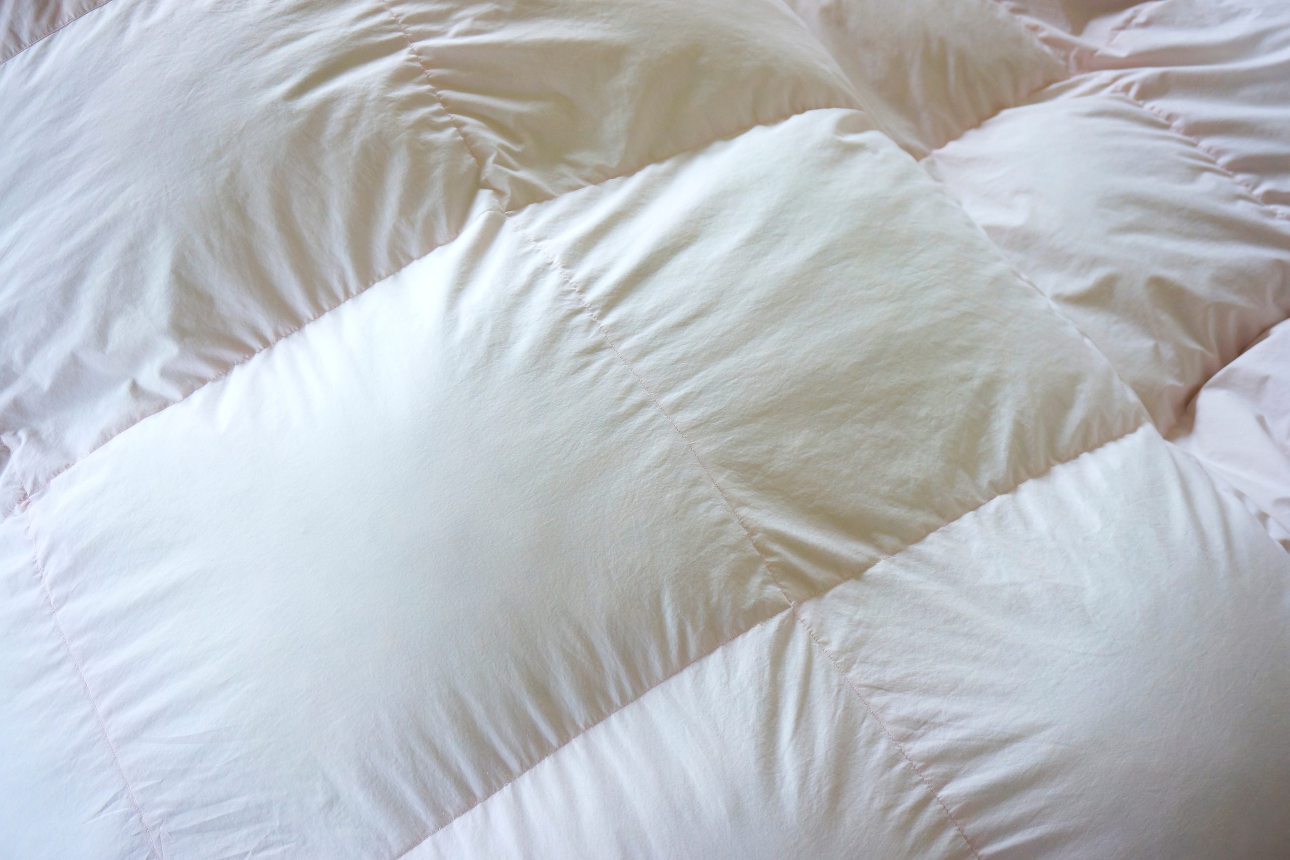 天日干しは「ダニが苦手な環境づくり」に効果あり