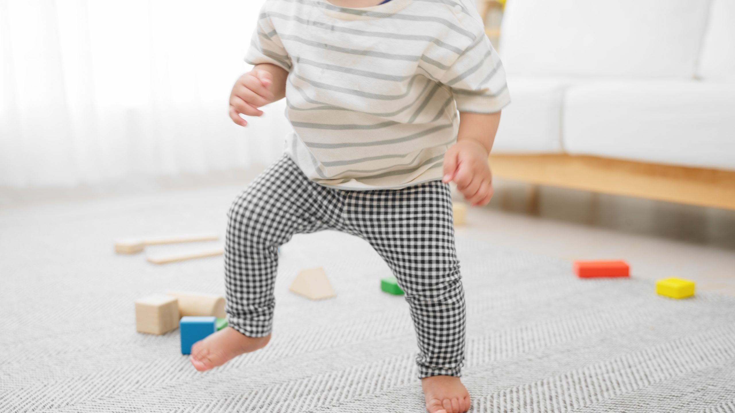 カーペット・絨毯