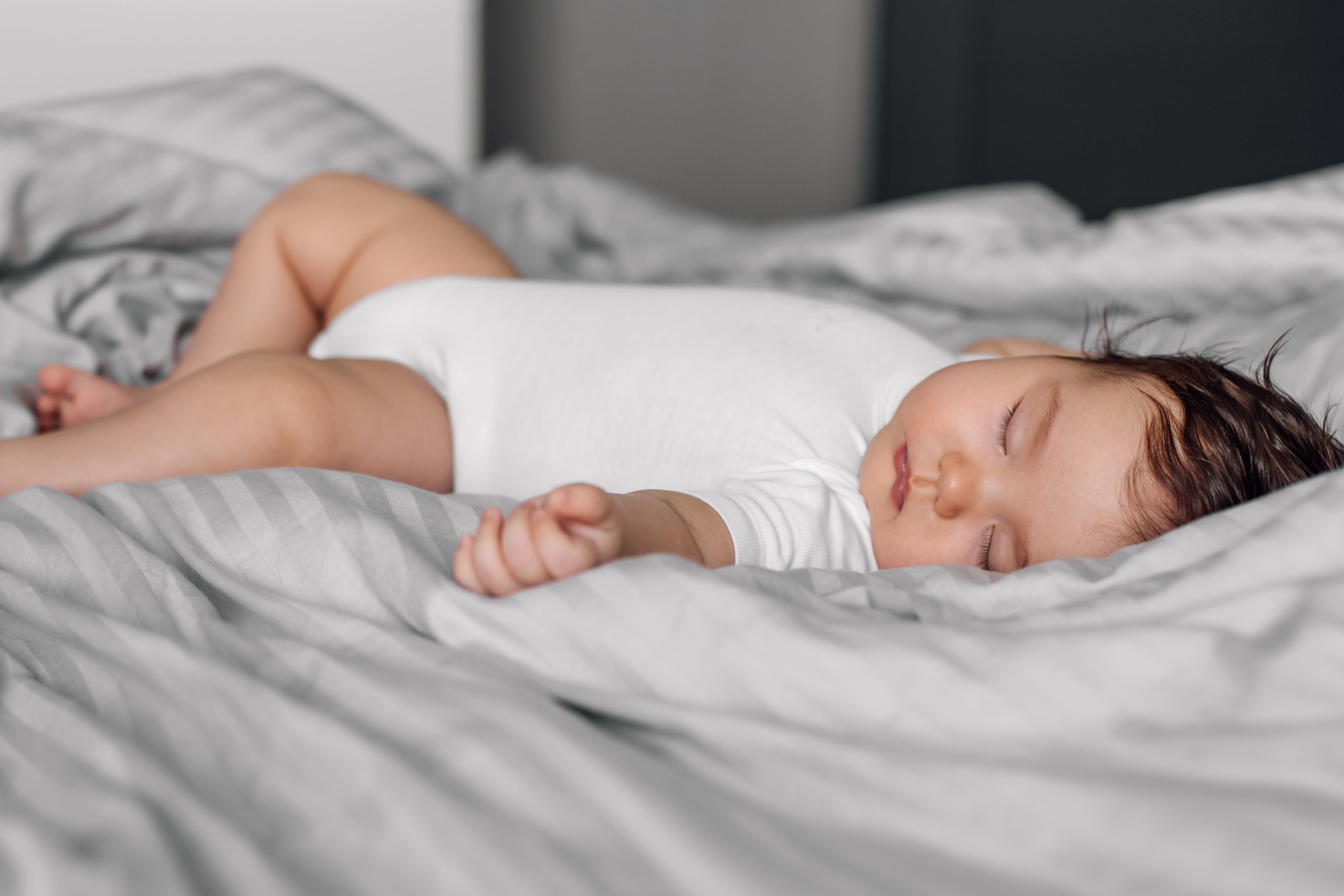 そもそもダニはどんな環境で発生するの？