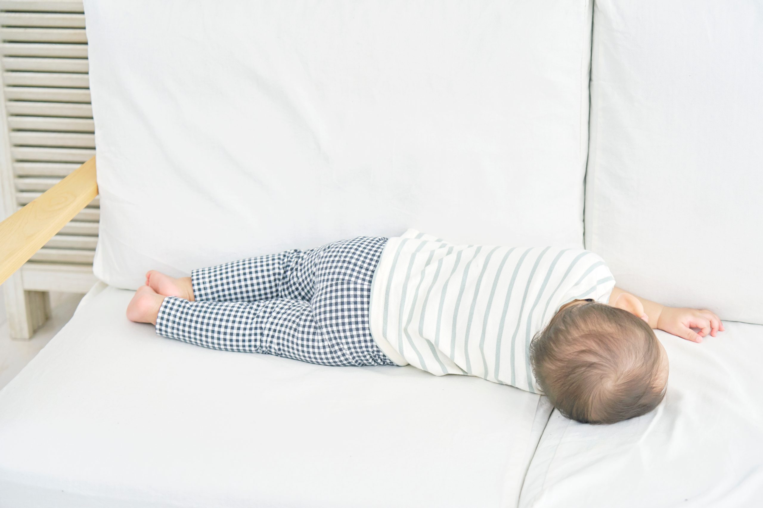 ソファのダニ対策をする前に！知っておきたい基礎知識