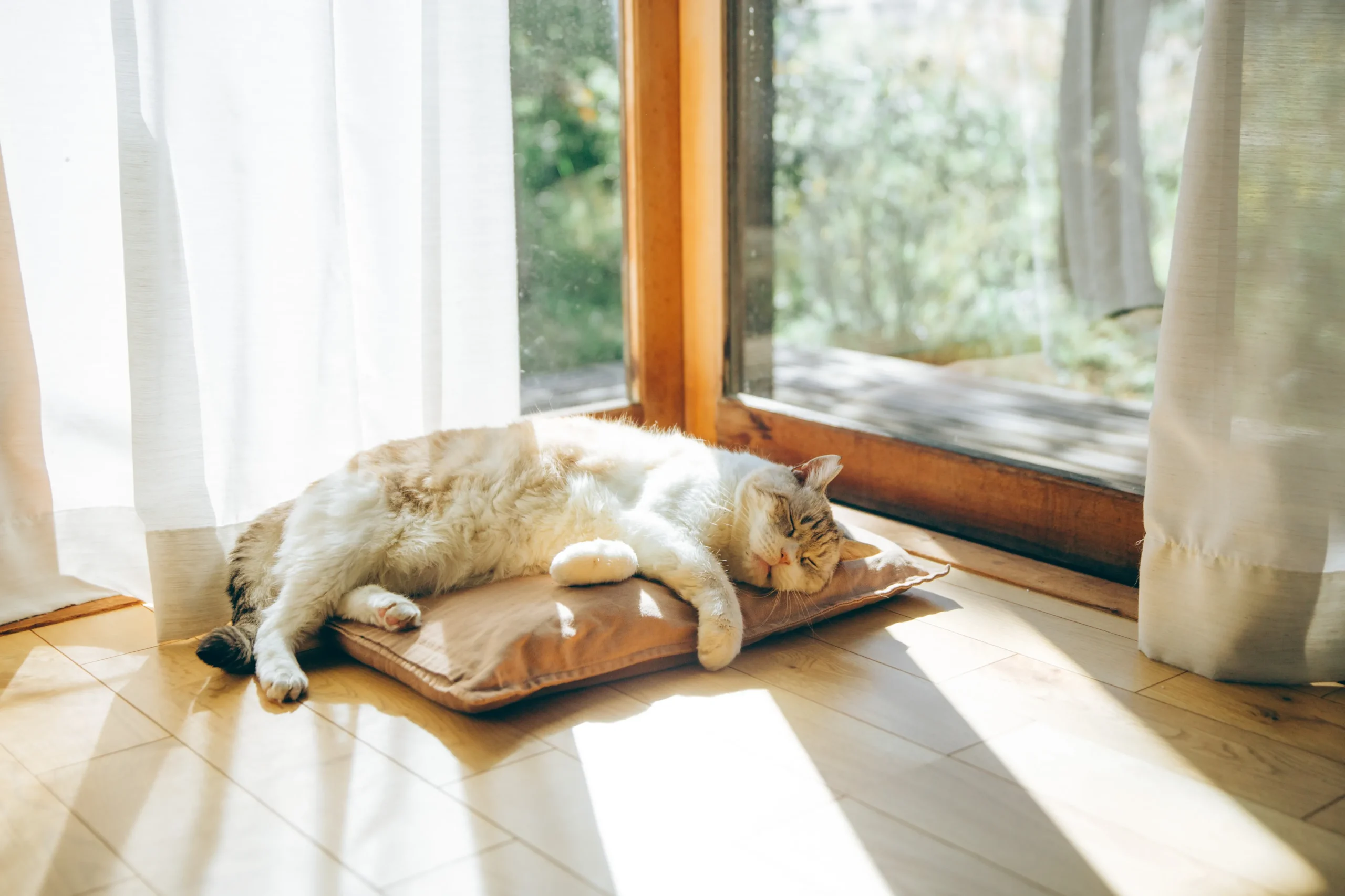 ダニNAVIのペットタグ一覧ページへのリンク