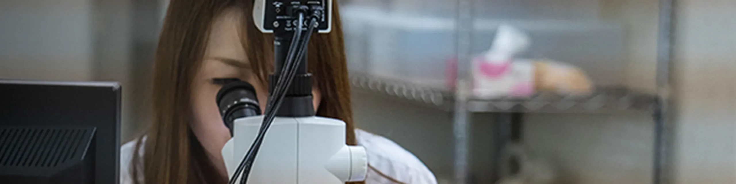 ダニ匹数検査サービス