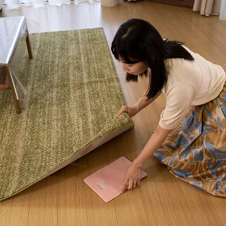 ダニ捕りマットをカーペット下に設置している