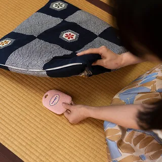 ダニ捕りロボプチを座布団の下に設置している