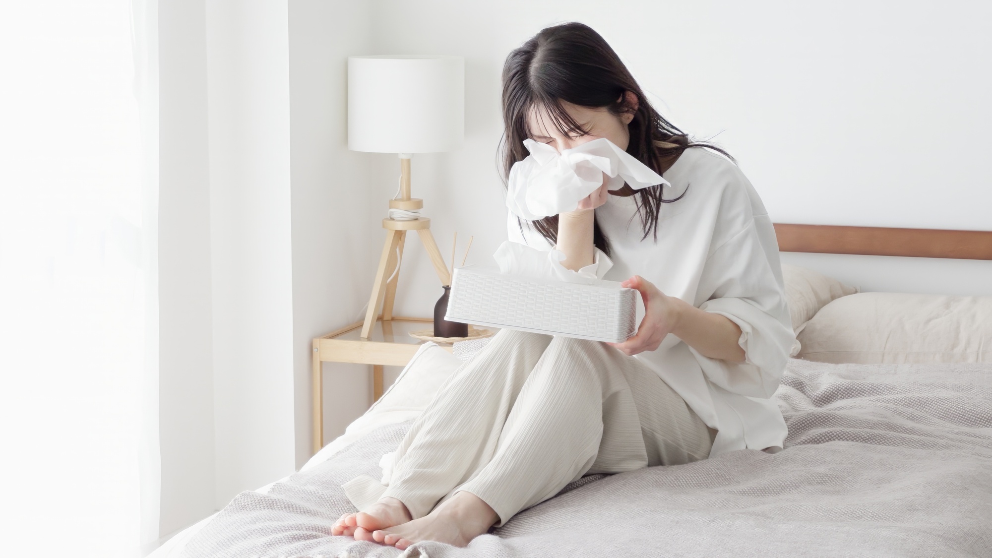 ダニの退治方法｜今すぐできる対策と再発させないコツ