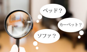 ダニが多い場所はどこ？アイキャッチ画像