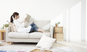 家庭でできるダニを増やさない掃除方法アイキャッチ画像