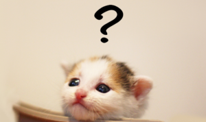 冬の寝室環境とダニアイキャッチ画像